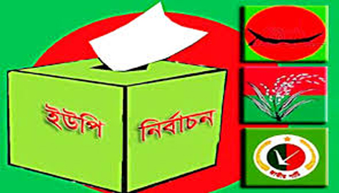 নির্বাচন