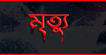 হাতুড়ে ডাক্তারের ভুল চিকিৎসায় গর্ভবতীর দুই সন্তানের মৃত্যু