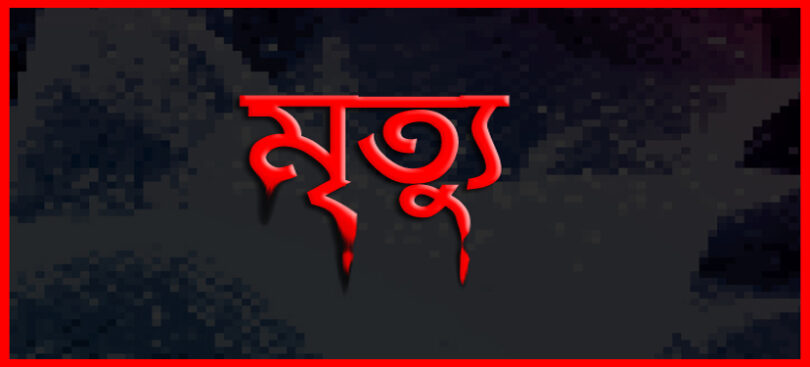 হাতুড়ে ডাক্তারের ভুল চিকিৎসায় গর্ভবতীর দুই সন্তানের মৃত্যু
