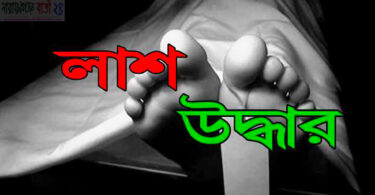 narayanganjbarta24.com