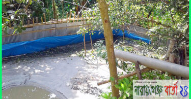 narayanganjbarta24.com