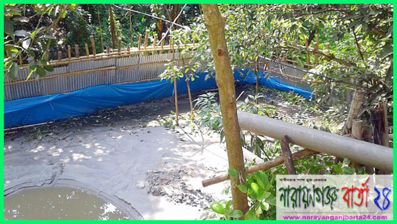 narayanganjbarta24.com