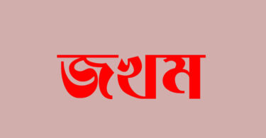 narayanganjbarta24.com