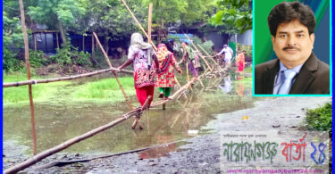 narayanganjbarta24.com