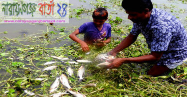 narayanganjbarta24.com