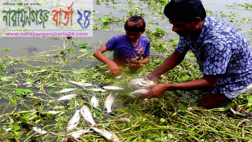 narayanganjbarta24.com
