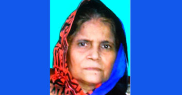 narayanganjbarta24.com