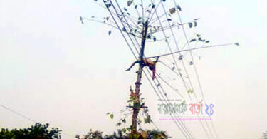 গাছের ডাল কাটতে গিয়ে মৃত্যু !
