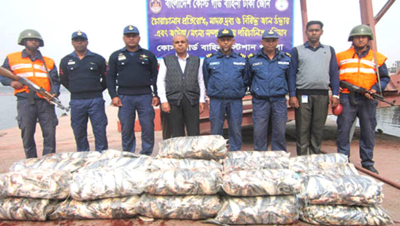 কোস্ট গার্ড কর্তৃক ৩ লাখ ৬০ হাজার টাকার জাটকা জব্দ