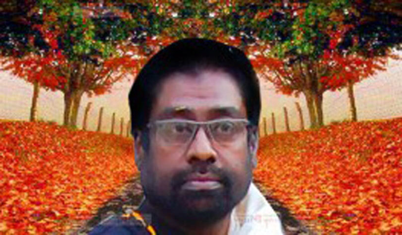 নাসিম ওসমান
