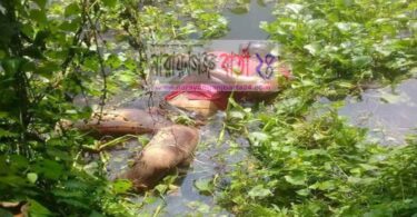 সোনারগাঁয়ে অজ্ঞাত যুবকের লাশ উদ্ধার