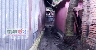 সোনারগাঁয়ে সরকারী হালটের উপর বাড়ী নির্মাণ