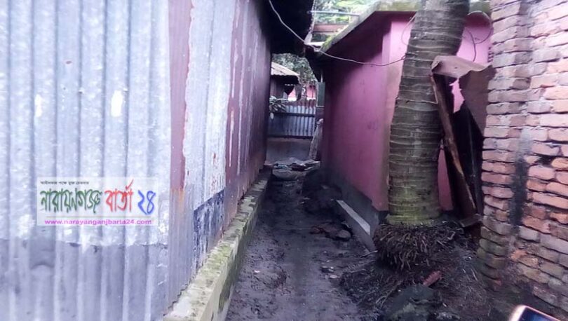 সোনারগাঁয়ে সরকারী হালটের উপর বাড়ী নির্মাণ