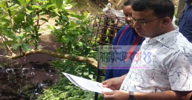 চৈতী কম্পোজিটের বিষাক্ত বর্জ্য পানি পরির্দশন করেন শাহিনুর ইসলাম