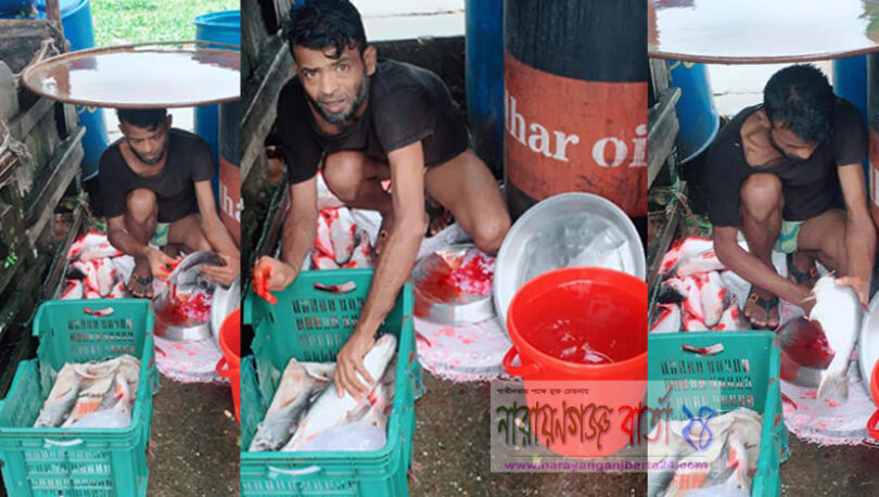 মাছে কী মেশানো হচ্ছে!