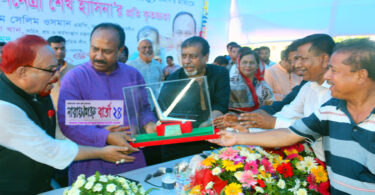 চাচা-ভাতিজা একত্রে উন্নয়নের রাজনীতি করবে এমপি সেলিম ওসমান