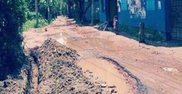 দাশের গাঁ-প্রেমতলা সড়কের বেহাল দশা