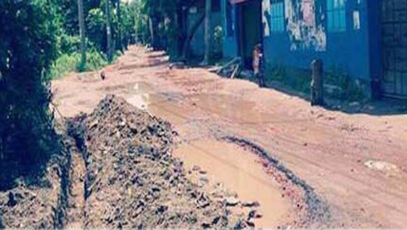 দাশের গাঁ-প্রেমতলা সড়কের বেহাল দশা