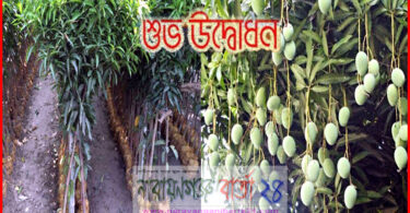বন্দরে ফলদ বৃক্ষ মেলার উদ্বোধন আজ