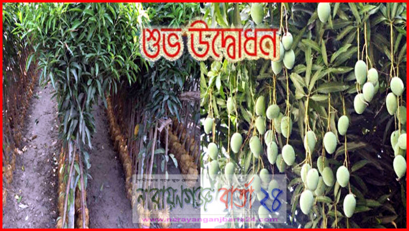 বন্দরে ফলদ বৃক্ষ মেলার উদ্বোধন আজ