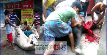 নগরীতে আল্লাহর সন্তুষ্টি লাভের উদ্দেশ্যে পশু কুরবানি