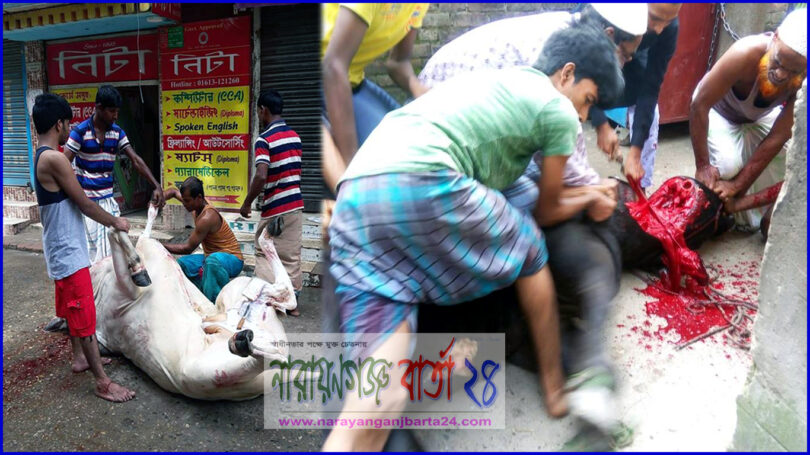 নগরীতে আল্লাহর সন্তুষ্টি লাভের উদ্দেশ্যে পশু কুরবানি