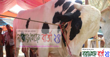 ফতুল্লা হাট দখ‌ল নি‌য়ে‌ছে সাদু বাবু!