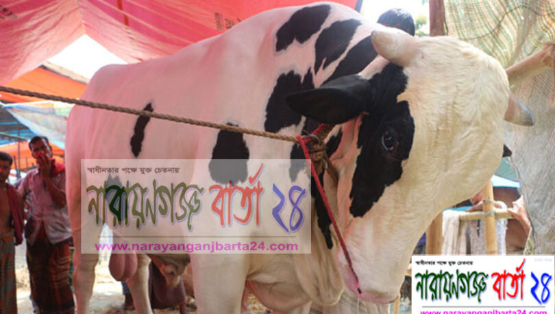 ফতুল্লা হাট দখ‌ল নি‌য়ে‌ছে সাদু বাবু!