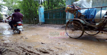 সোনারগাঁ উপজেলার নয়াপুর থেকে রতন মার্কেট রাস্তার বেহাল দশা