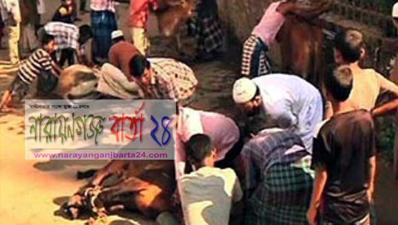 নাসিক এর ২৭ ওয়ার্ডে কোরবানির পশু জবাইয়ের ২০৮টি স্থান নির্ধারণ