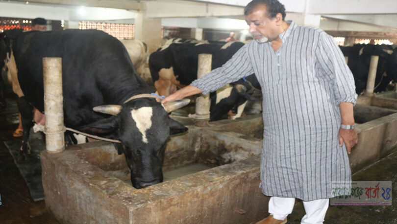 ঈদে ৩ কোটি টাকার গরু বিক্রি করলো কৃষক সেলিম ওসমান