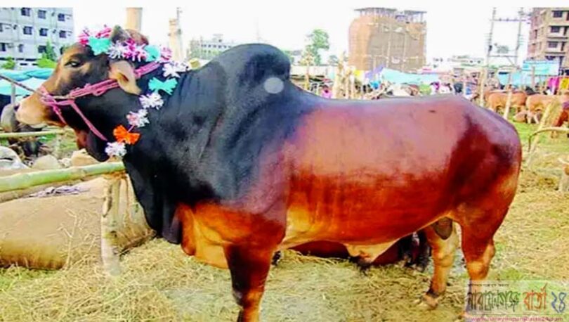 বারবার ফিরে আসে 'ঈদ'