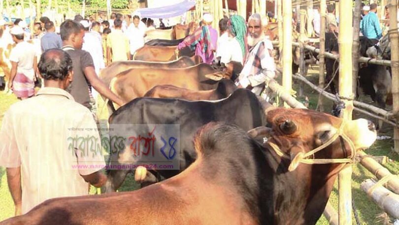 খেয়াঘাটে গরুর হাট না থাকায় বন্দরবাসীর মাঝে হতাশা
