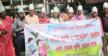 নানা কর্মসূচীর মধ্য দিয়ে নারায়ণগঞ্জে মীনা দিবস পালিত