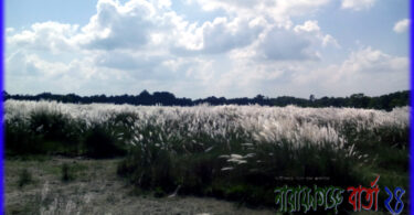★ শরৎরাণীর রূপ ★ ( কবিতা )