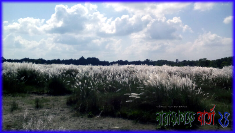 ★ শরৎরাণীর রূপ ★ ( কবিতা )