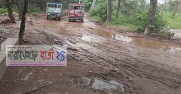 বন্দরে দাশেরগাঁও-লাঙ্গলবন্ধ রাস্তার বেহাল দশা