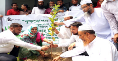 রুপগঞ্জে বৃক্ষরোপন কর্মসূচী অনুষ্ঠিত