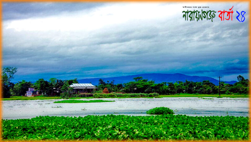 ★ আমার গাঁ ★ ( ছড়া )