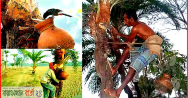 হেমন্তের শেষেই শীত ঋতুর আগমন , গ্রামে চলছে খেজুর রসের আয়োজন