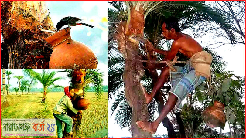 হেমন্তের শেষেই শীত ঋতুর আগমন , গ্রামে চলছে খেজুর রসের আয়োজন