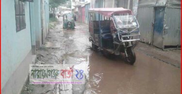 আলীনগর যাতায়াত রাস্তাটির ভগ্নদশায় জনদূর্ভোগ