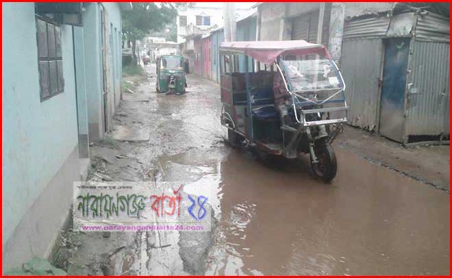 আলীনগর যাতায়াত রাস্তাটির ভগ্নদশায় জনদূর্ভোগ