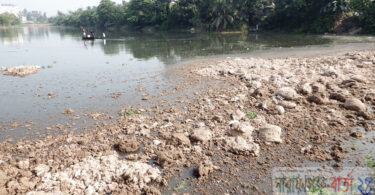 রূপগঞ্জে ১০ লাখ টাকার মাছ নিধন