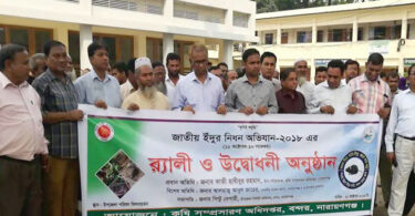 বন্দরে জাতীয় ইঁদুর নিধন অভিযান শুরু