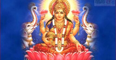 না.গঞ্জে বেটা নাই, বাঘ লায়ন কে বিশ্বাস করিনা : শুক্কুর মাহামুদ