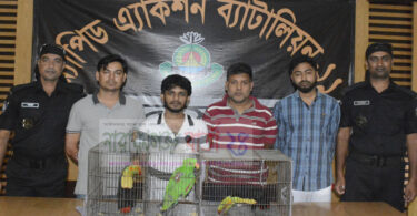 বিরল প্রজাতির পাখিসহ ধৃত ৪ পাচারকারী