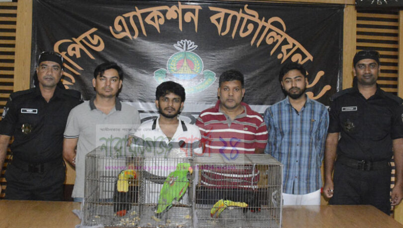 বিরল প্রজাতির পাখিসহ ধৃত ৪ পাচারকারী