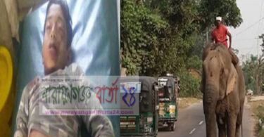 সোনারগাঁয়ে হাতির পায়ে পিষ্ট হয়ে কিশোরের মৃত্যু