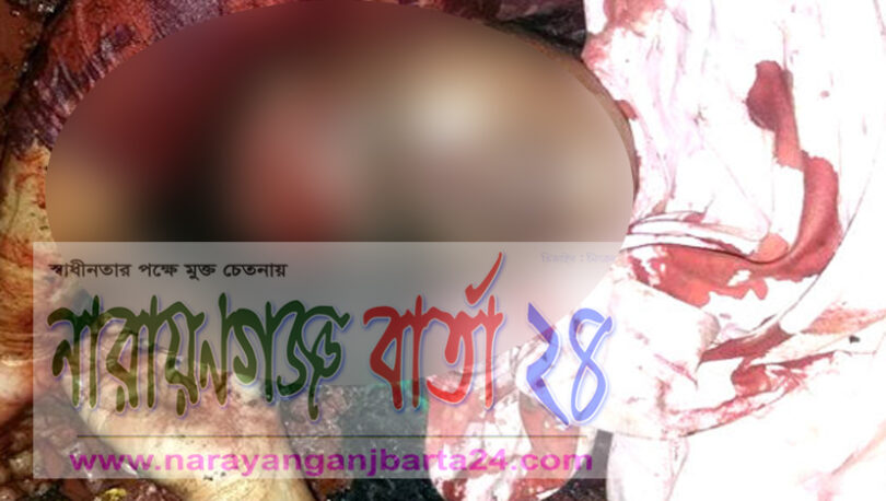 প্রবাসীর স্ত্রীকে কুপিয়ে ও আগুনে পুড়িয়ে হত্যার অভিযোগ